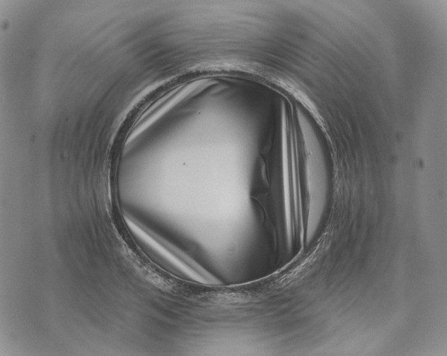 X0000072980984200608041239