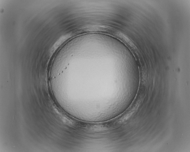 X0000072980986200608041239