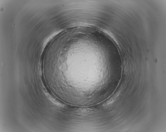 X0000072980987200608041239