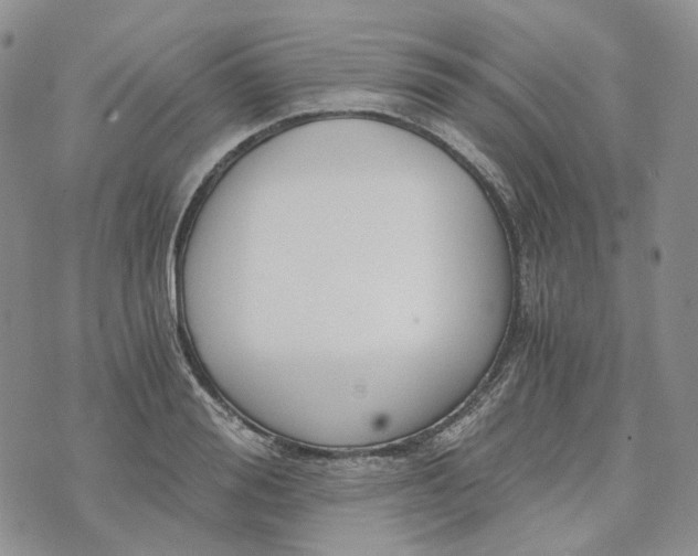 X0000072980988200608041239