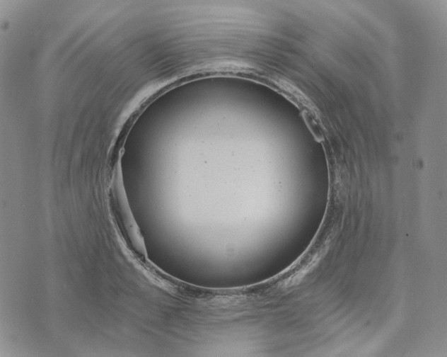 X0000072980989200608041239