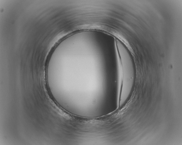 X0000072980992200608041239