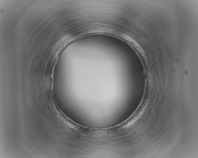 X0000072980993200608041238