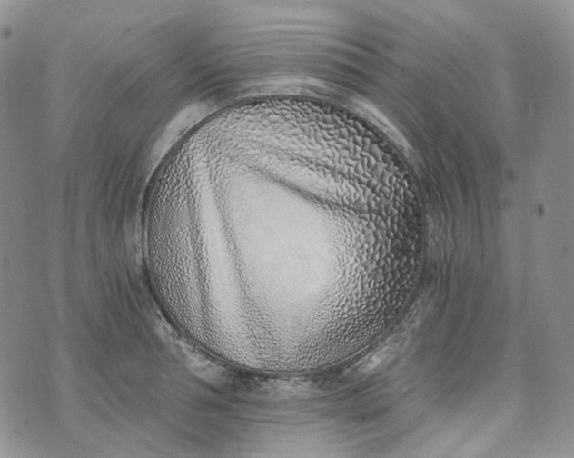 X0000072980994200608041238