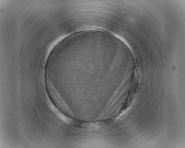 X0000072980995200608041238