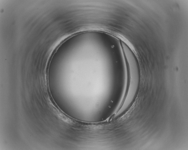 X0000072980996200608041238