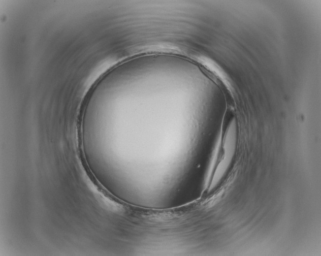 X0000072980999200608041238