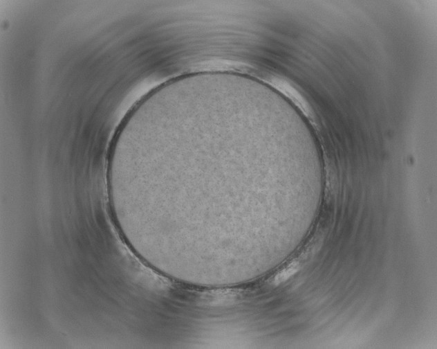 X0000072981000200608041238