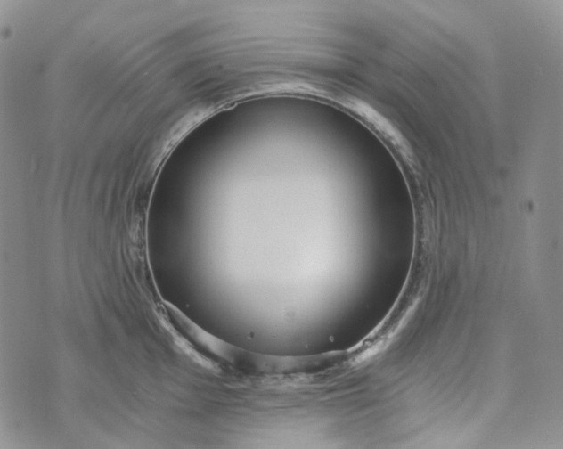 X0000072981001200608041238