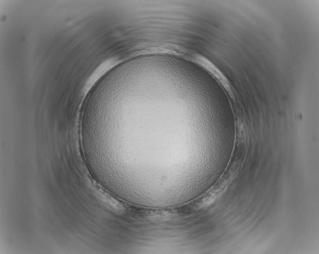 X0000072981002200608041238