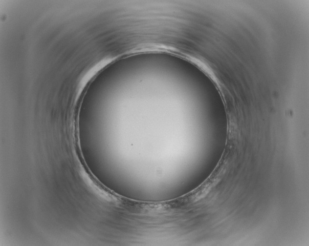 X0000072981003200608041238