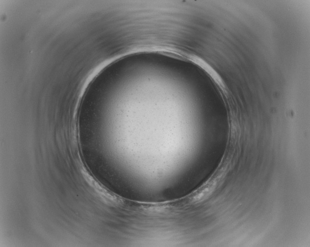 X0000072981004200608041238