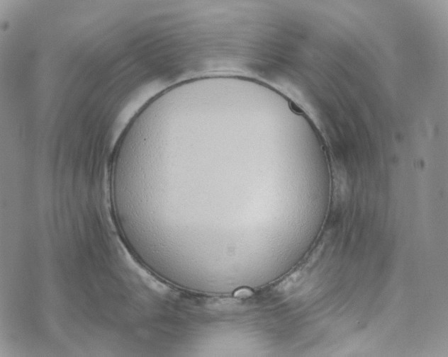 X0000072981006200608041238