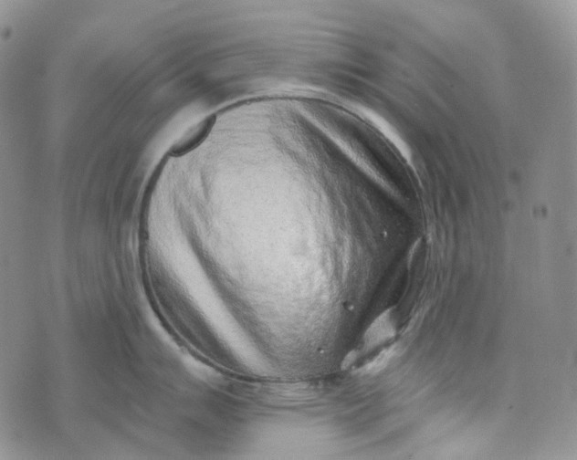 X0000072981007200608041238