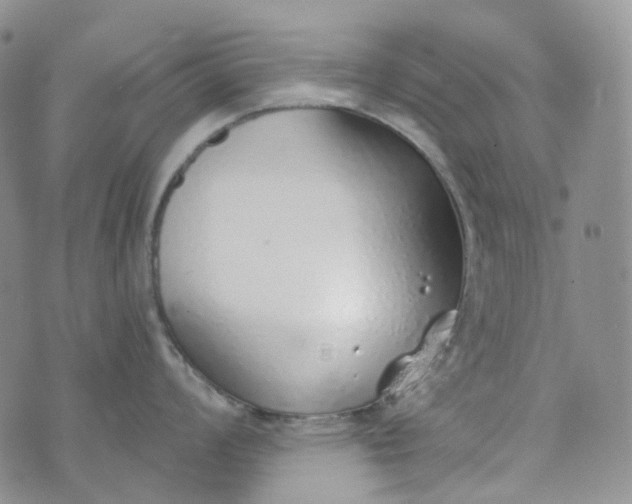 X0000072981008200608041238