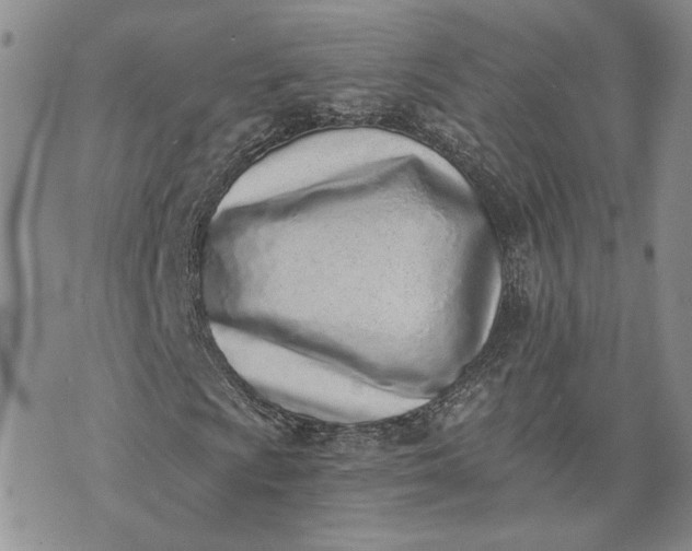 X0000072981009200608041237