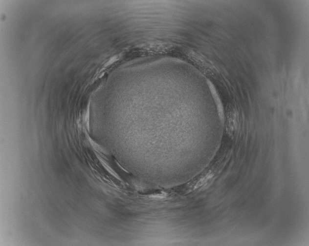 X0000072981010200608041237