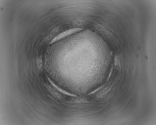 X0000072981011200608041238