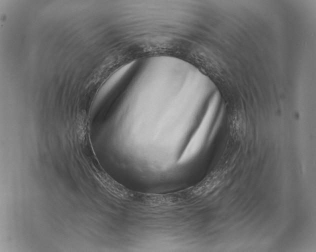 X0000072981012200608041238