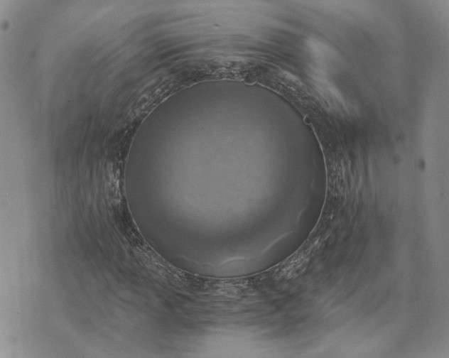 X0000072981013200608041238