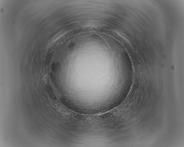 X0000072981015200608041238