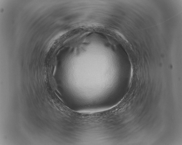 X0000072981016200608041238