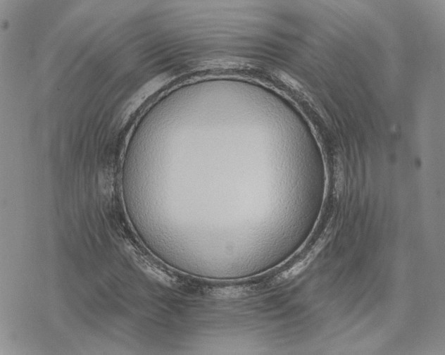 X0000072981017200608041238