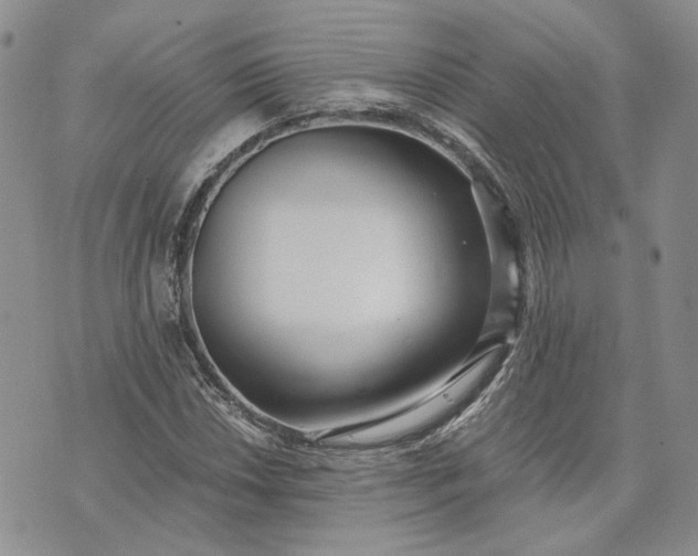 X0000072981018200608041238