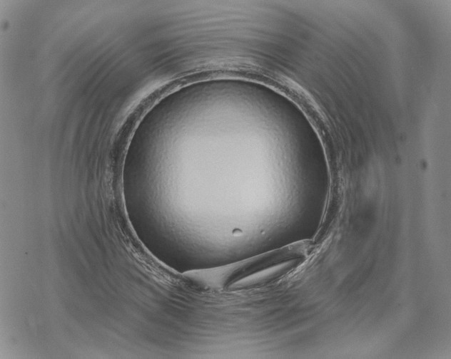 X0000072981019200608041238