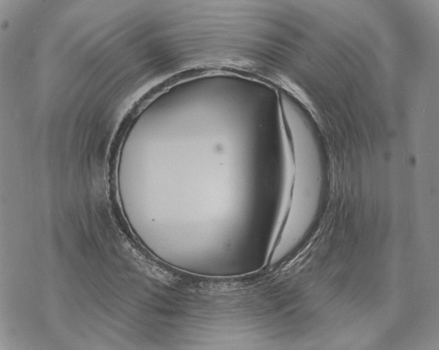 X0000072981020200608041238