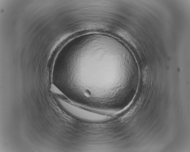 X0000072981021200608041238