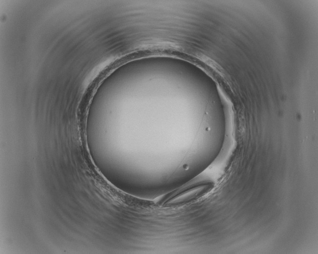 X0000072981022200608041238