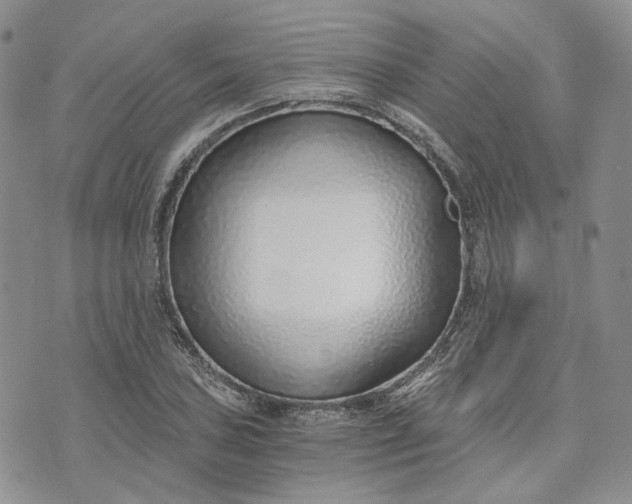 X0000072981027200608041238