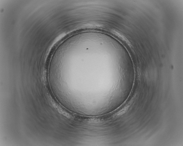 X0000072981029200608041238