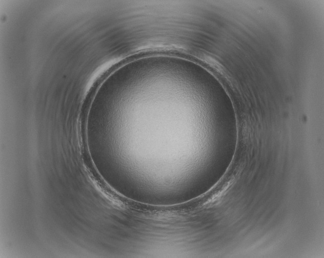 X0000072981030200608041238