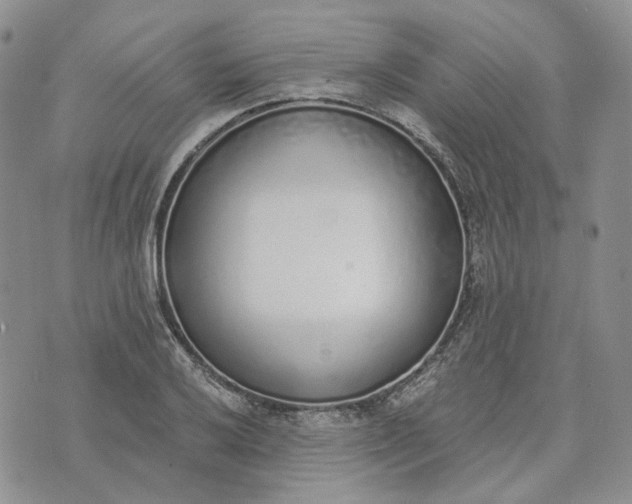 X0000072981032200608041238