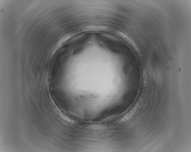 X0000072981033200608041238