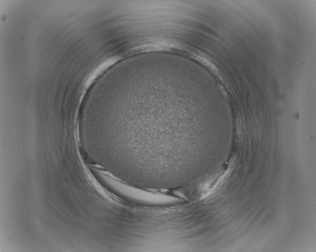 X0000072981034200608041238