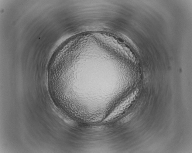 X0000072981035200608041238