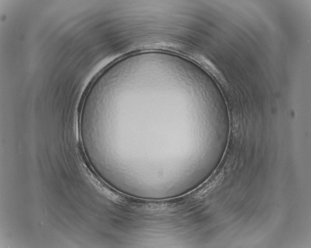 X0000072981036200608041238