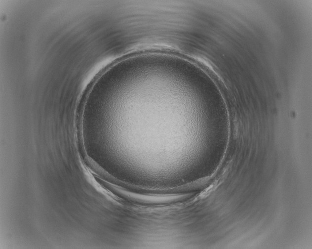 X0000072981038200608041238