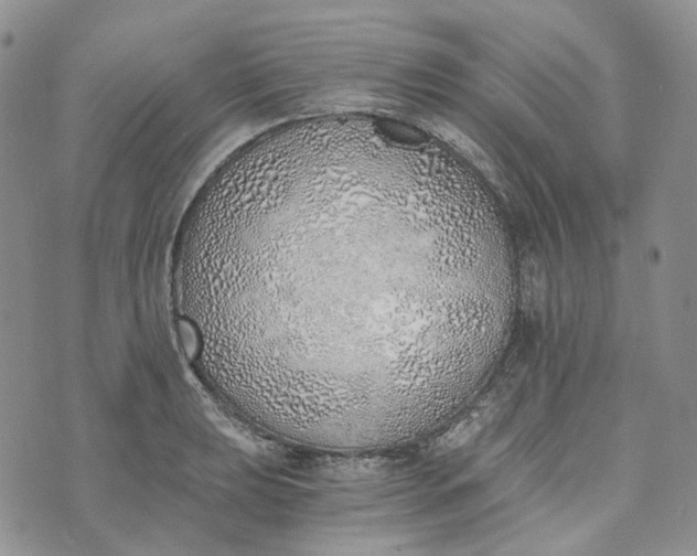 X0000072981039200608041238