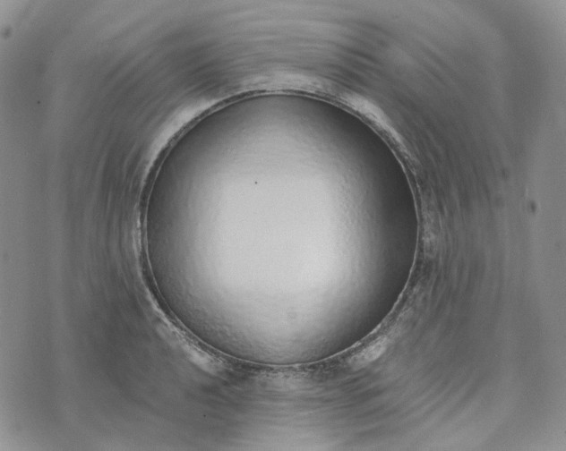 X0000072981040200608041238