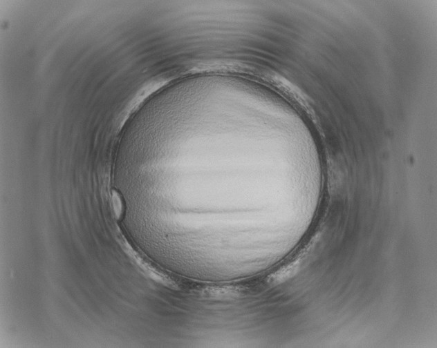 X0000072981041200608041238