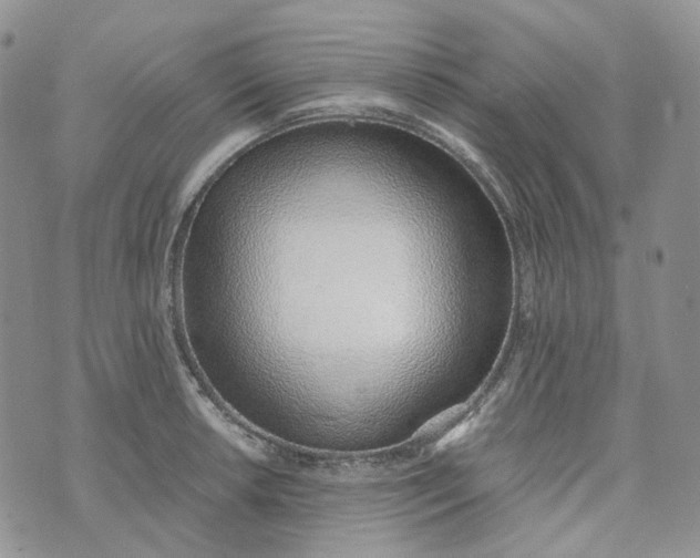 X0000072981042200608041238