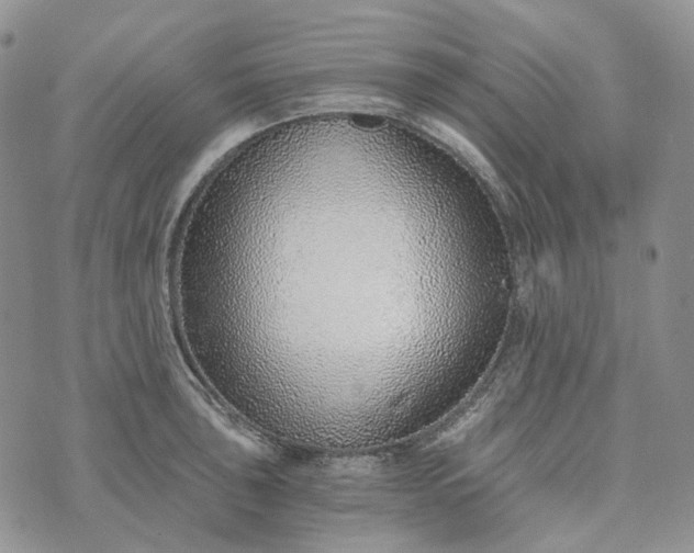 X0000072981043200608041238