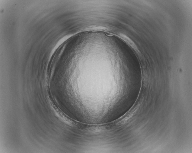 X0000072981044200608041238