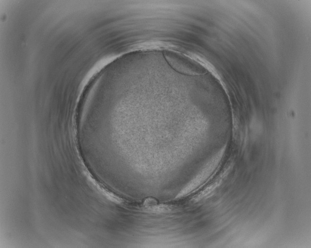 X0000072981045200608041238