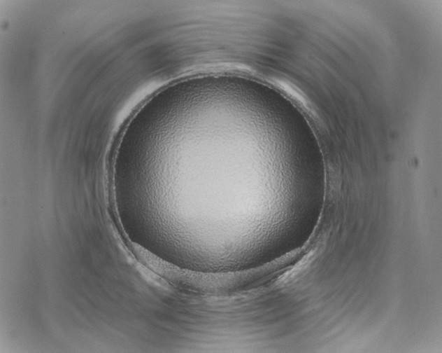 X0000072981046200608041238