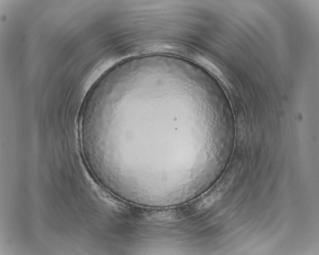 X0000072981047200608041238